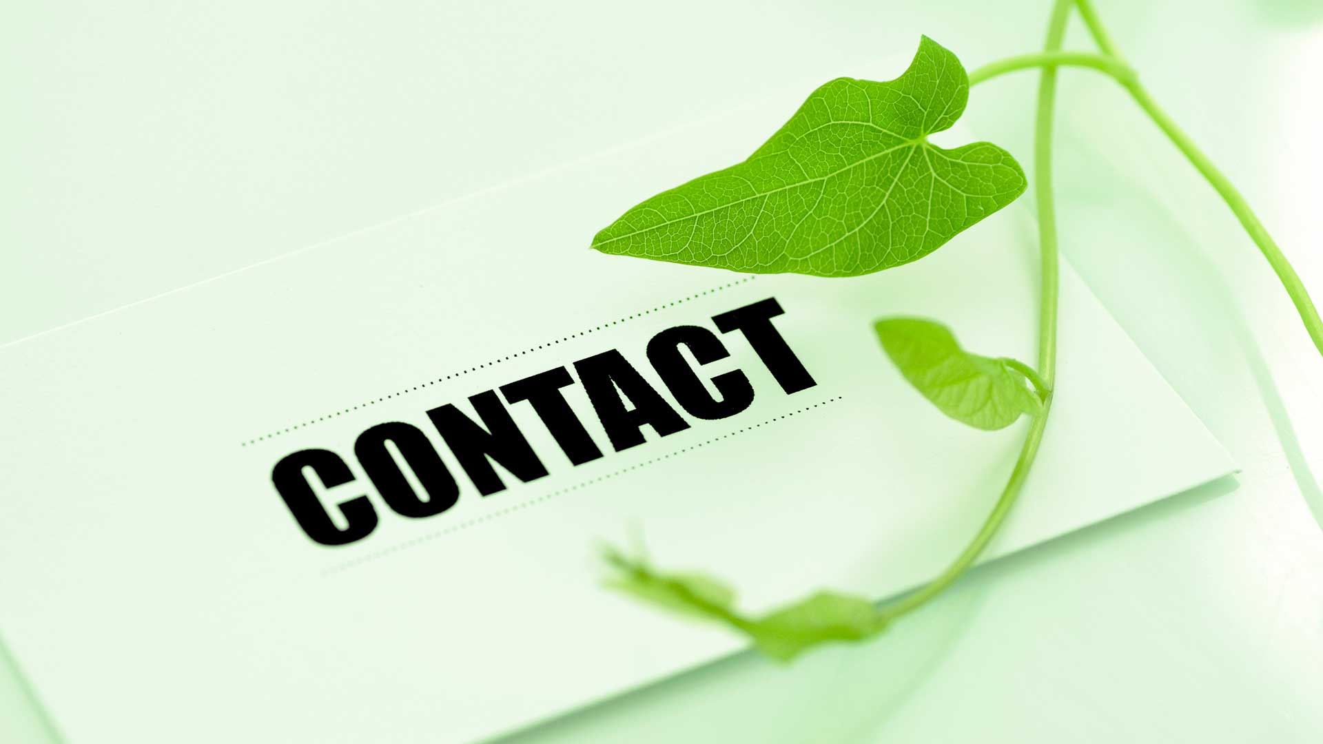 Image for Contact Us/Board Address